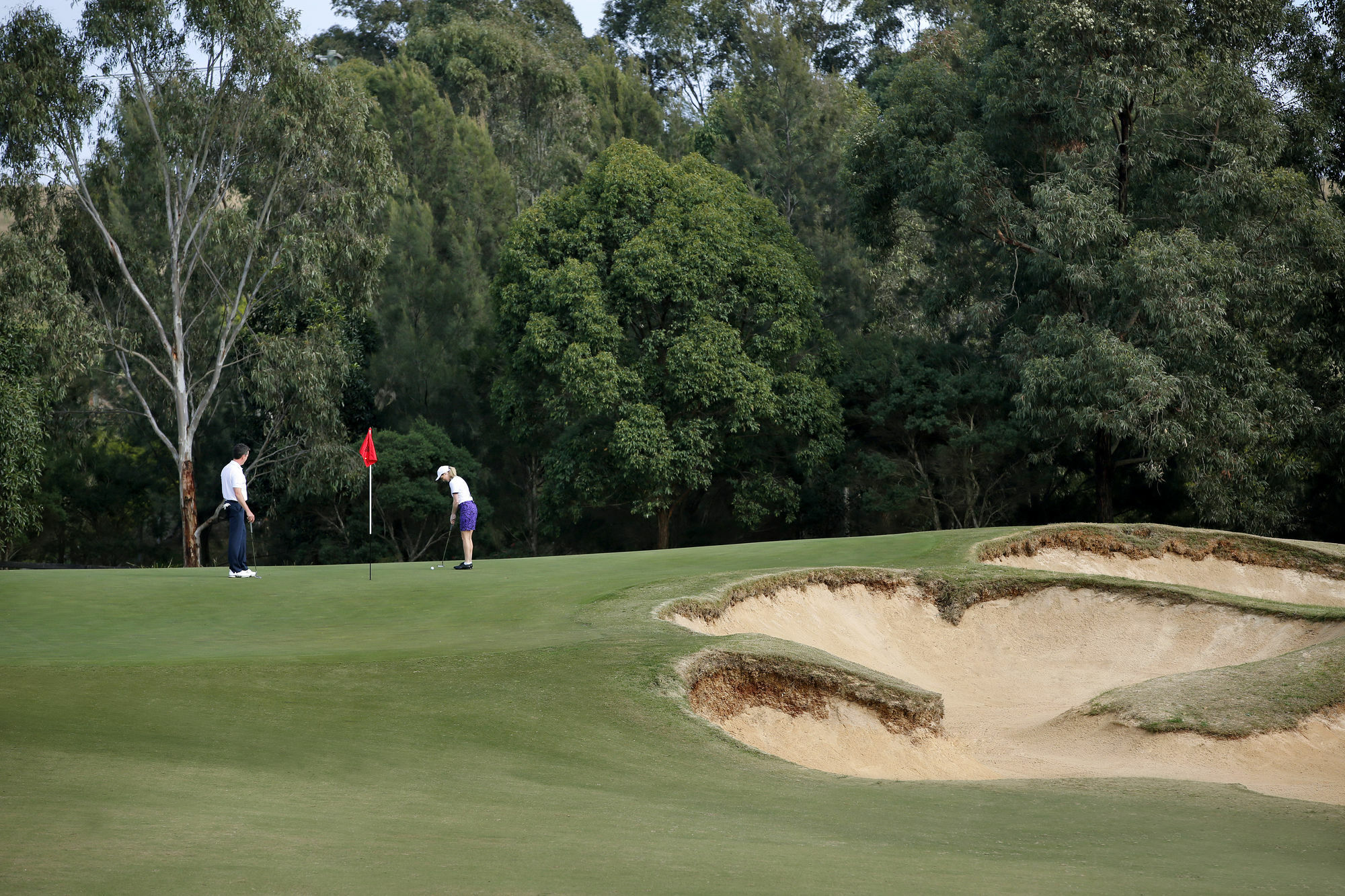 Chateau Elan At The Vintage Pokolbin Eksteriør bilde Golfers on the green of the 12th hole at the 2006 PGA Championship